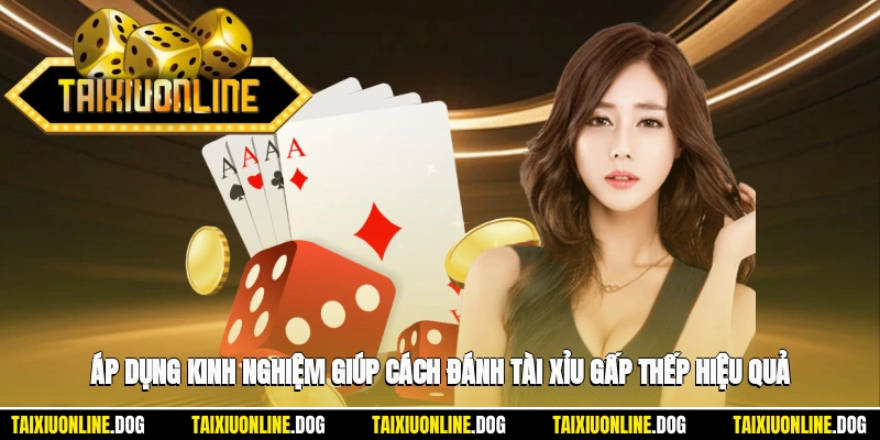 Áp dụng kinh nghiệm giúp cách đánh tài xỉu gấp thếp hiệu quả hơn
