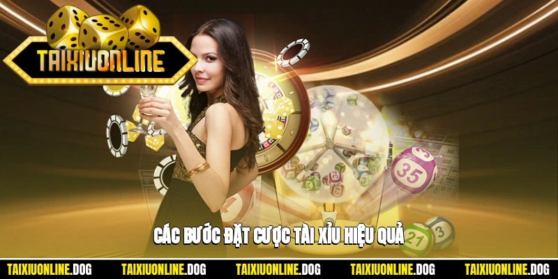 Các bước đặt cược tài xỉu hiệu quả