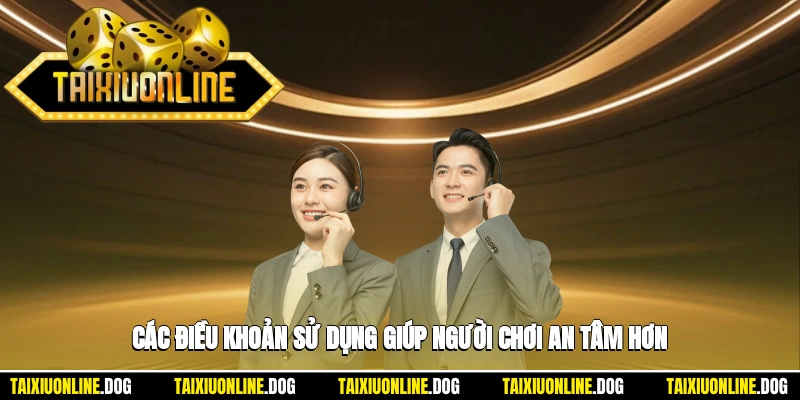 Điều khoản sử dụng 3 - Các điều khoản sử dụng giúp người chơi an tâm hơn