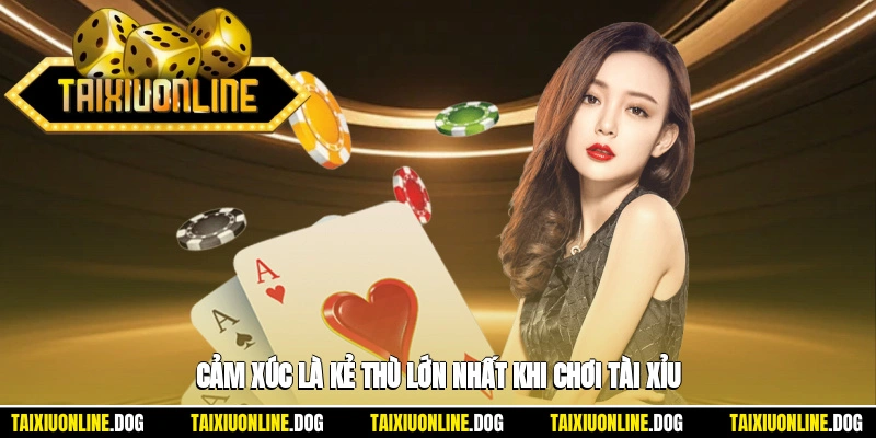 Yếu tố cảm xúc chính là trở ngại nguy hiểm nhất khi chơi tài xỉ