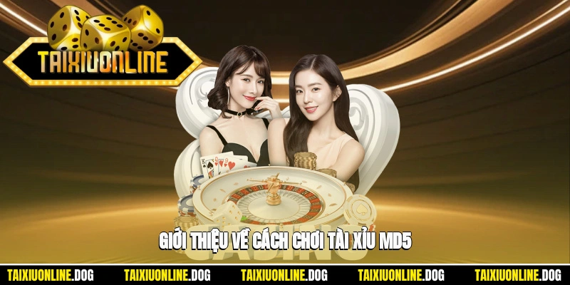 Tài Xỉu Md5 – Khái Niệm, Cách Hoạt Động Và Bí Quyết Chiến Thắng 1 - Giới thiệu về cách chơi tài xỉu MD5